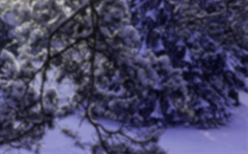 小雪時(shí)節(jié)寄語 4篇