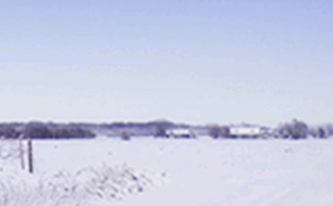 “小雪”是吃蘿卜的好時節(jié)