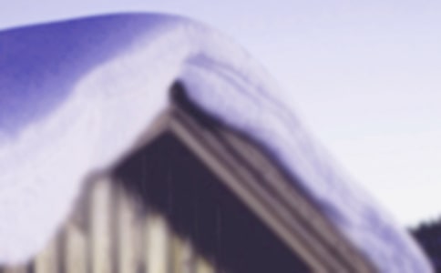 �׃�С���Z��Сѩ���̰���ͨ��11ƪ��