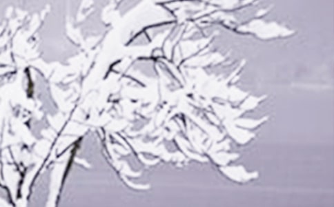 小雪時節(jié)暖心寄語