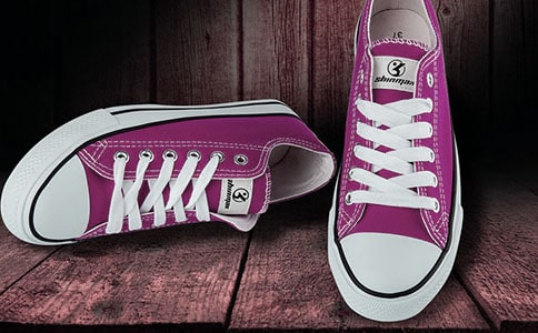 多功能鞋子作文