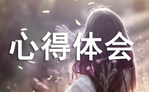 服裝設計的心得體會(精選15篇)