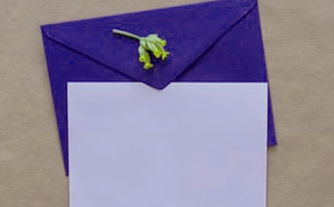 �а��W�����g(sh��)�b��̰����ŷ���ż��