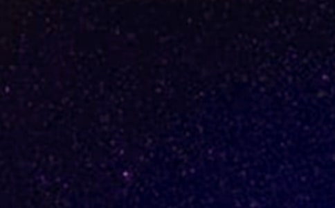 【精】仰望星空作文15篇