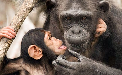 �P�ڴ����ɵ����ķ���