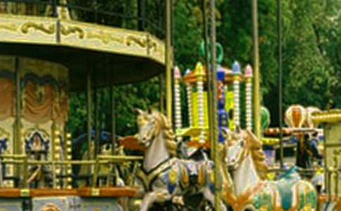 作文 年輪的旋轉(zhuǎn)木馬