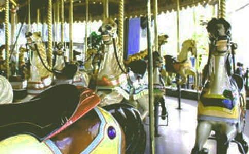 成長(zhǎng)過(guò)程中的旋轉(zhuǎn)木馬作文