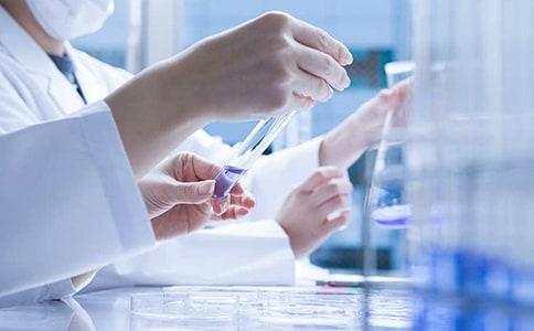 有關(guān)研究實(shí)習(xí)報(bào)告4篇