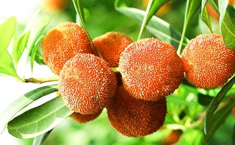 ���Ґ۹��l(xi��ng)�ė�÷���^��ָ��ʽ�̰��OӋ