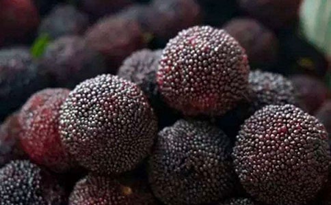 描寫慈溪的楊梅的作文550字