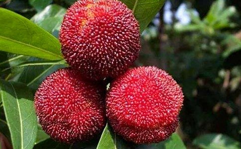 ���Ґ۹��l(xi��ng)�ė�÷��һ�n�̌W(xu��)��˼