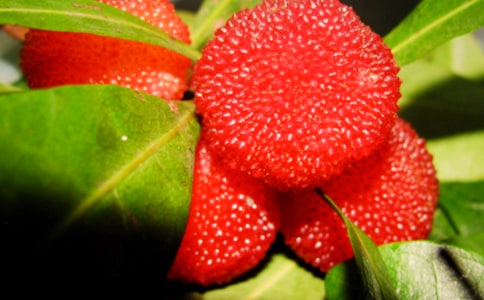 ��÷������