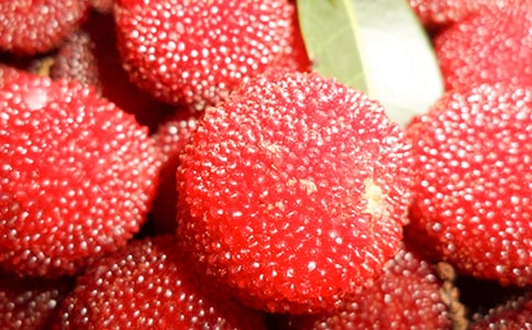 ���l(xi��ng)�ė�÷