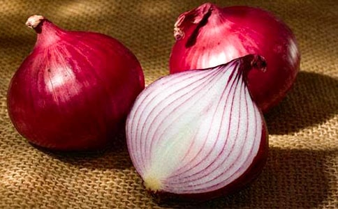 洋蔥頭找朋友教案設(shè)計模版