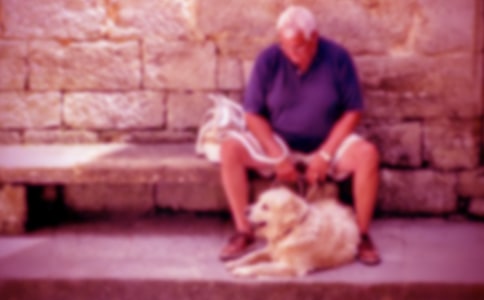 給爺爺奶奶的一封信作文錦集五篇