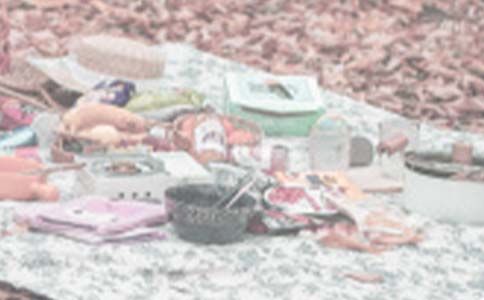 小班語(yǔ)言教案:小豬胖胖的野餐