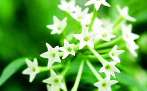 ҹ��������300�֣�ͨ��33ƪ��