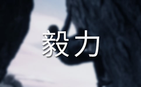 ���ɻ�ȱ����������