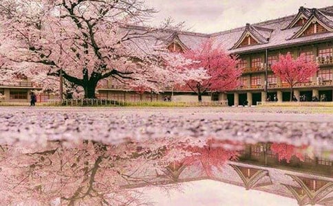 �����ęѻ�����