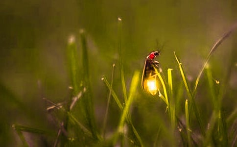 Ξ���x����15ƪ[�ϼ�]