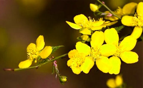 ӭ��������15ƪ����(y��u)��