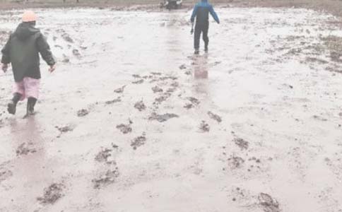 ���＼���b���}��