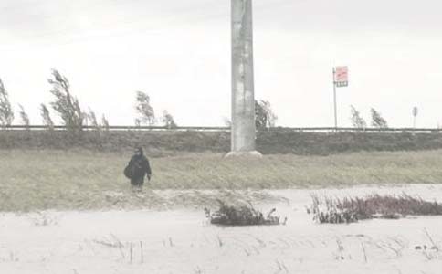 徑向基函數(shù)方法在南泥灣油田勘探中的應(yīng)用