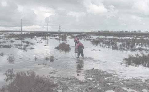 千家企業(yè)節(jié)能行動經(jīng)驗談(六)油田真空相變加熱爐的研制與應(yīng)用