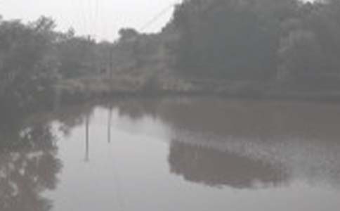 �����~���а����κ�ͬ����