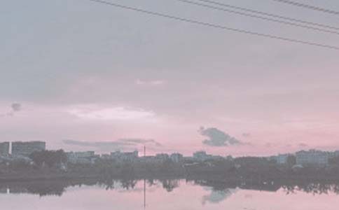 魚塘經(jīng)營承包合同