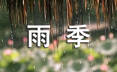 曾經(jīng)錯過的雨季優(yōu)秀作文500字