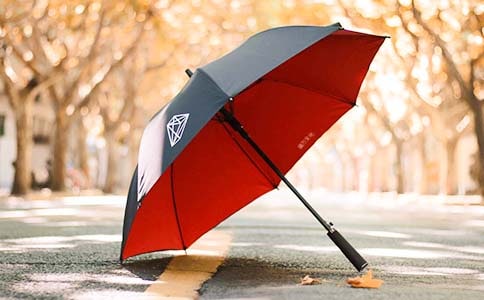 傾斜的雨傘作文350字