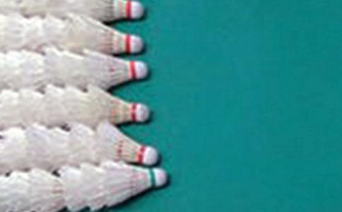 �W����ë����ĵ��w��(15ƪ)