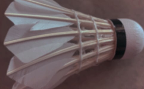 ����ë���ĵ�