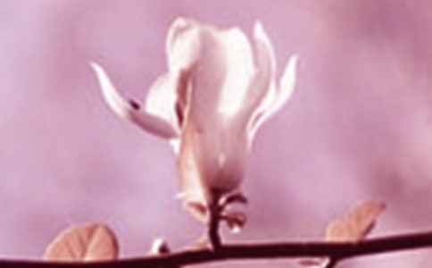 ���P(gu��n)���m�����꼉(j��)���ļ���10ƪ