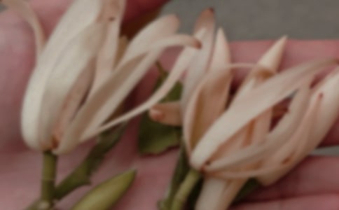 ���m������