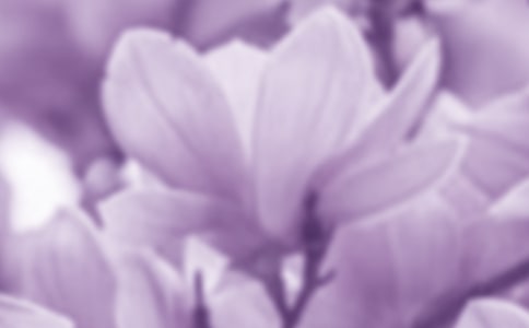 �茑���m��������400��