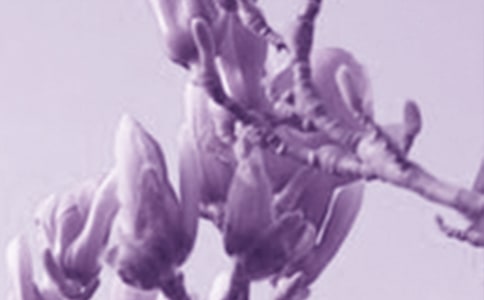 �����x�����m�����꼉(j��)������ƪ