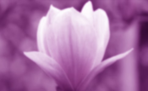 �P(gu��n)�����m���ă�(y��u)�����ģ�ͨ��50ƪ��