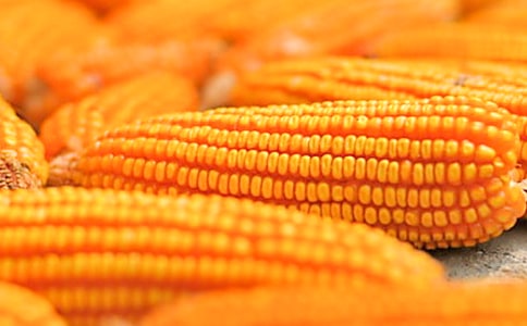 ���l(xi��ng)����������500��