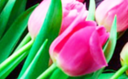 �������������㡷С�����g(sh��)���p�̰�