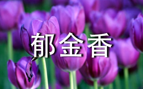 郁金香的花語