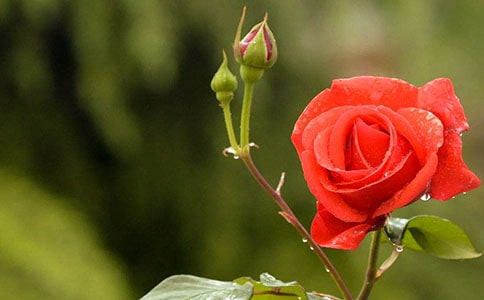 �P(gu��n)���¼�������