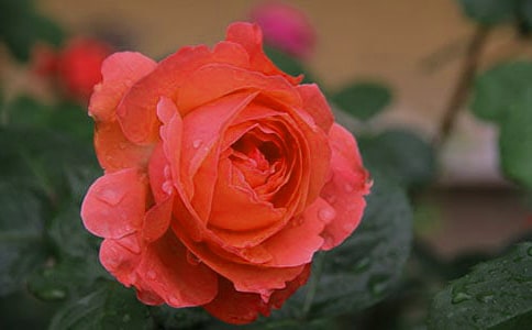 (��Ʒ)�P(gu��n)���¼�����