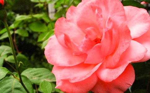 ��������С�¼���800��