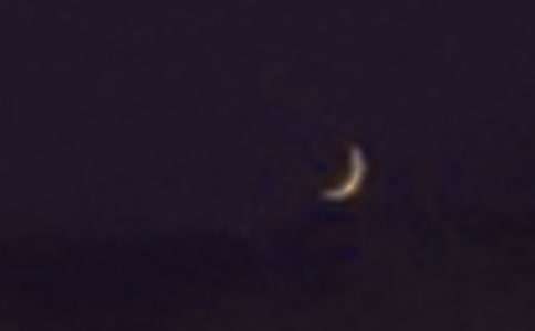 美術(shù)活動(dòng)-月亮上的故事