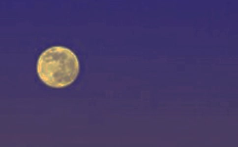 關于月圓的作文300字3篇