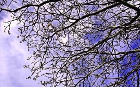 【精華】治愈系早安問候語短信28句