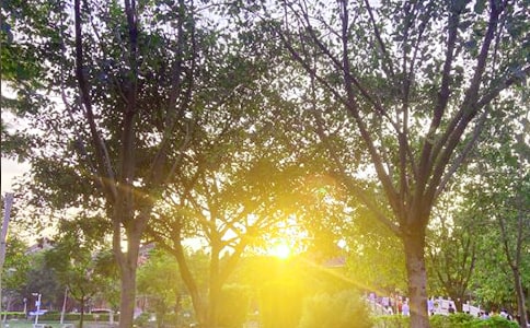 【熱門(mén)】每日一句早安朋友圈問(wèn)候語(yǔ)集合65條