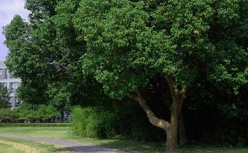 【熱門】優(yōu)美的早安朋友圈問候語35條